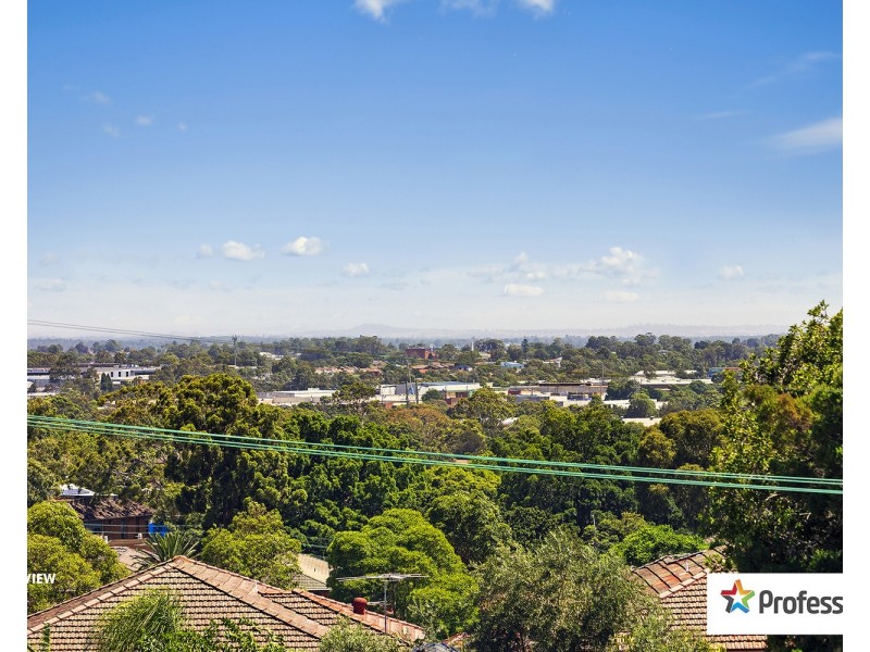 3/48 BROADWAY, Punchbowl NSW 2196