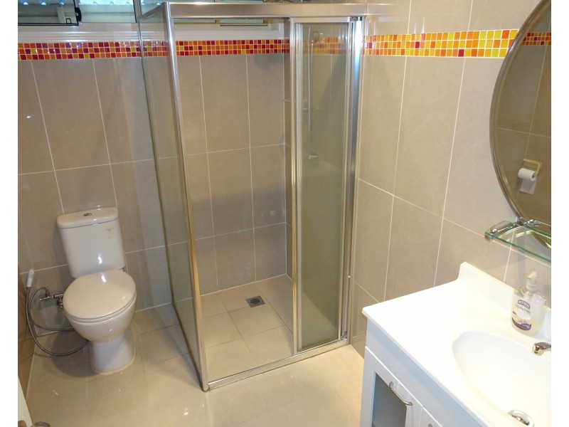 18A Viola Street, Punchbowl NSW 2196