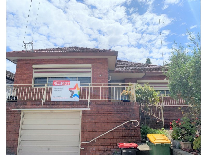 161 Wattle Street, Punchbowl NSW 2196