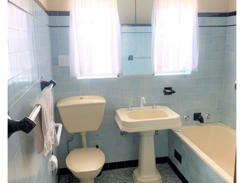 161 Wattle Street, Punchbowl NSW 2196