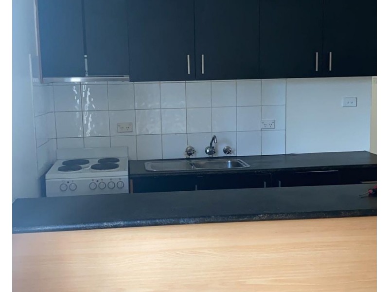 1/2 Lancelot Street, Punchbowl NSW 2196