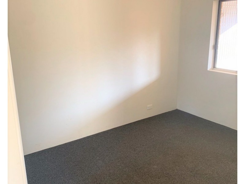 19a Wonga Street, Canterbury NSW 2193