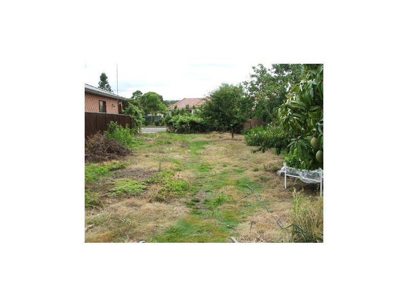 65a Rawson Street, Wiley Park NSW 2195