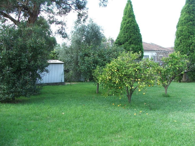 24 Scott Street, Punchbowl NSW 2196