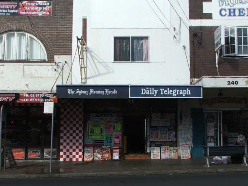 238 The Boulevarde Street, Punchbowl NSW 2196