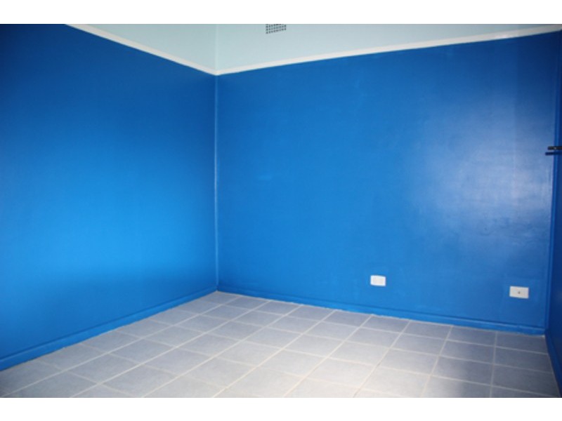 19 Weyland Street, Punchbowl NSW 2196