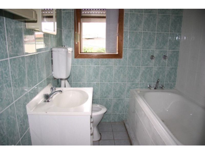 19 Weyland Street, Punchbowl NSW 2196