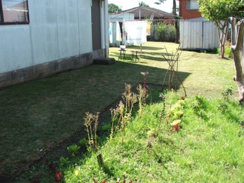 110 Rosemont Street, Punchbowl NSW 2196