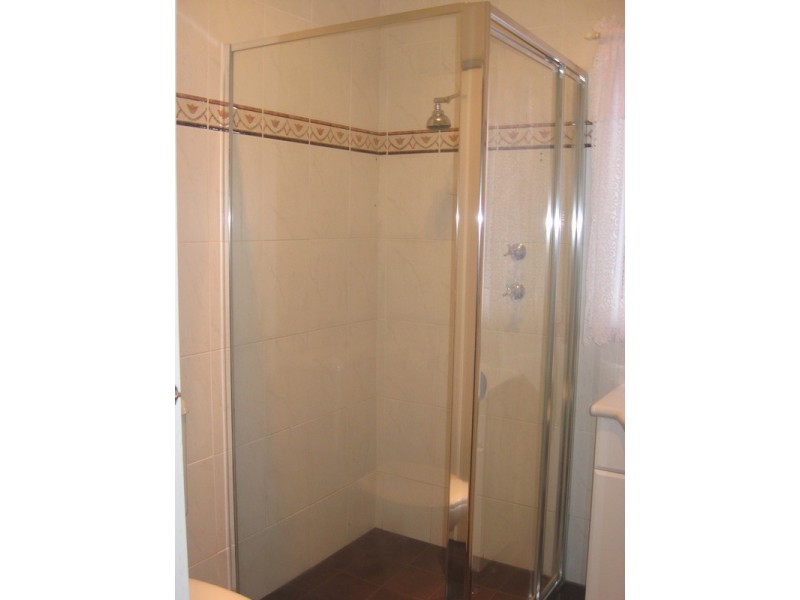 46 Catherine Street, Punchbowl NSW 2196