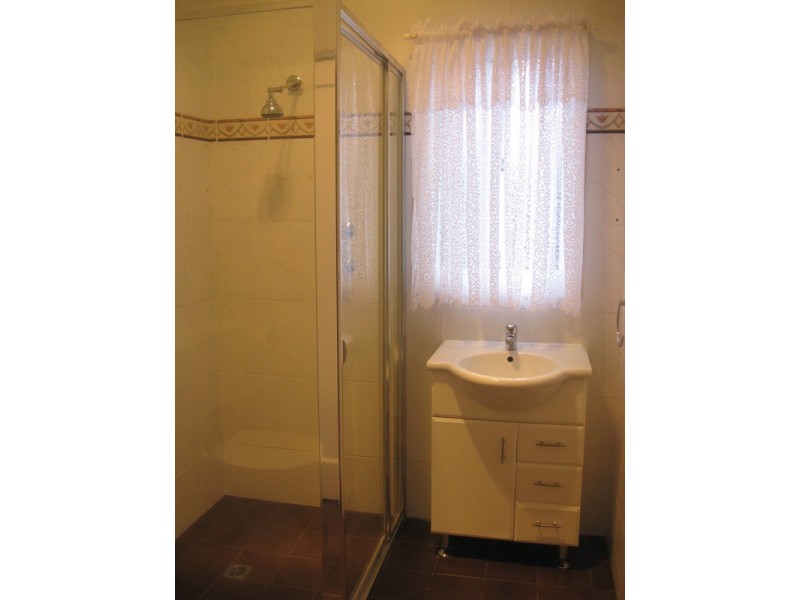 46 Catherine Street, Punchbowl NSW 2196