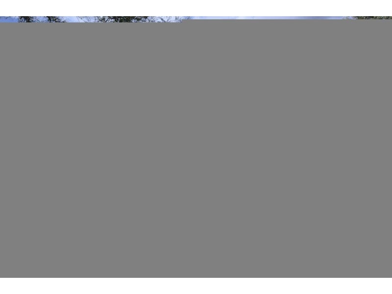 1/171 William Street, Bankstown NSW 2200