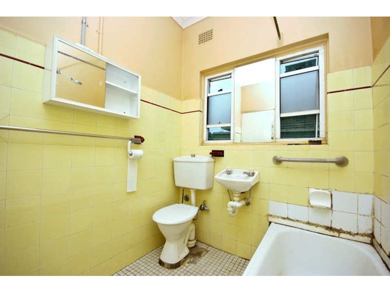 17 Craig Street, Punchbowl NSW 2196
