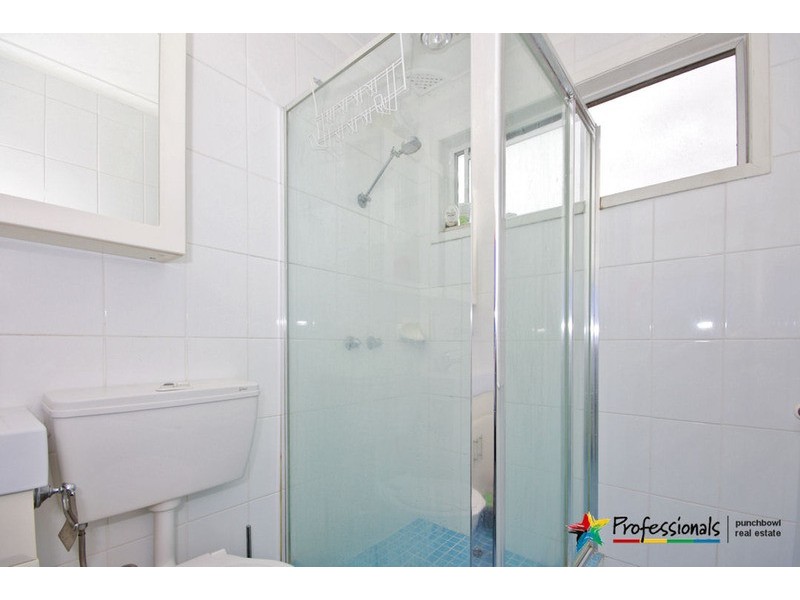 17 BEAUCHAMP Street, Wiley Park NSW 2195