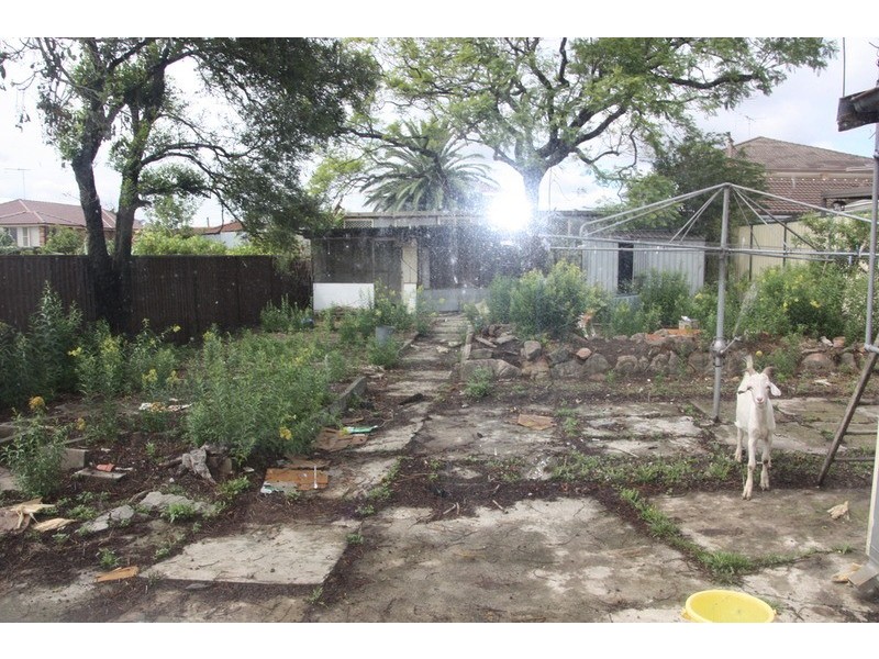 30 TELOPEA  Street, Punchbowl NSW 2196