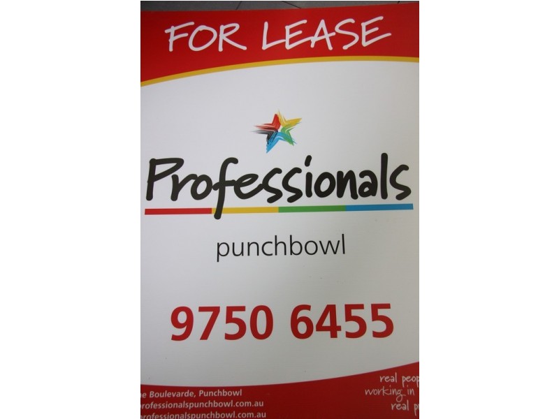 Punchbowl NSW 2196
