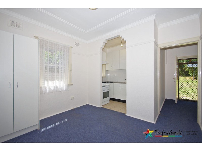 15 MOUNT LEWIS Avenue, Punchbowl NSW 2196