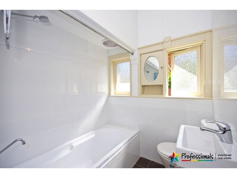 15 MOUNT LEWIS Avenue, Punchbowl NSW 2196