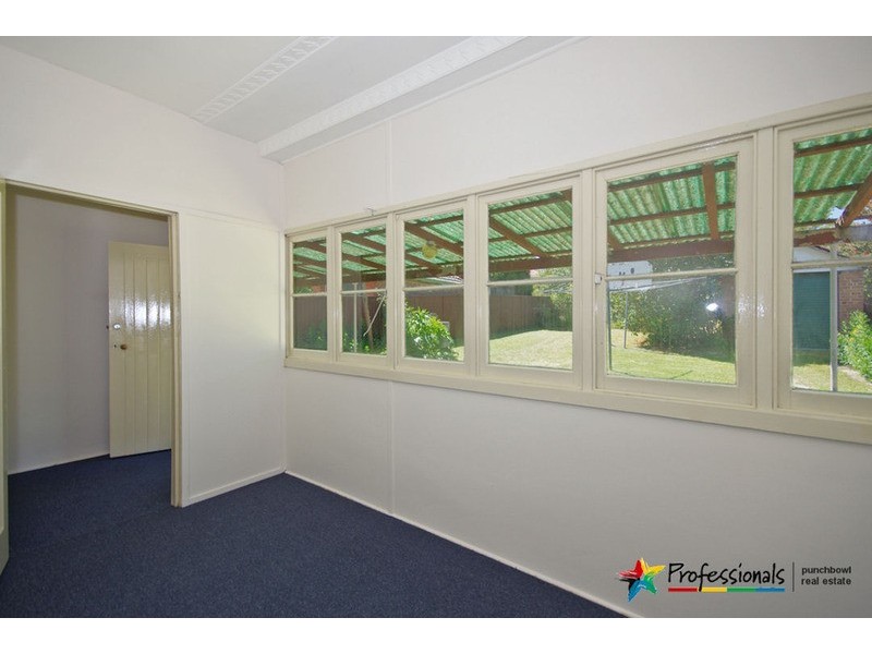 15 MOUNT LEWIS Avenue, Punchbowl NSW 2196