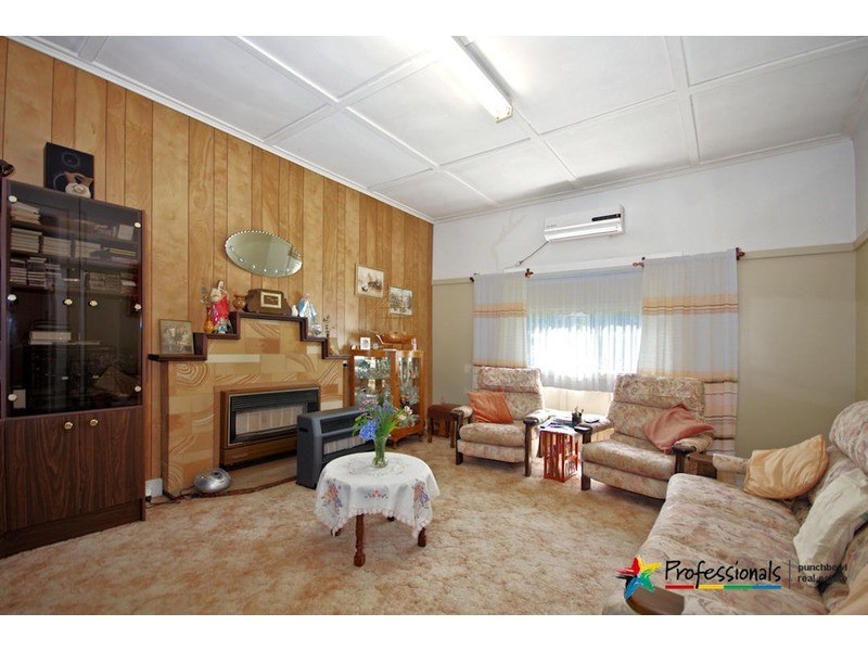 16 CATHERINE  Street, Punchbowl NSW 2196