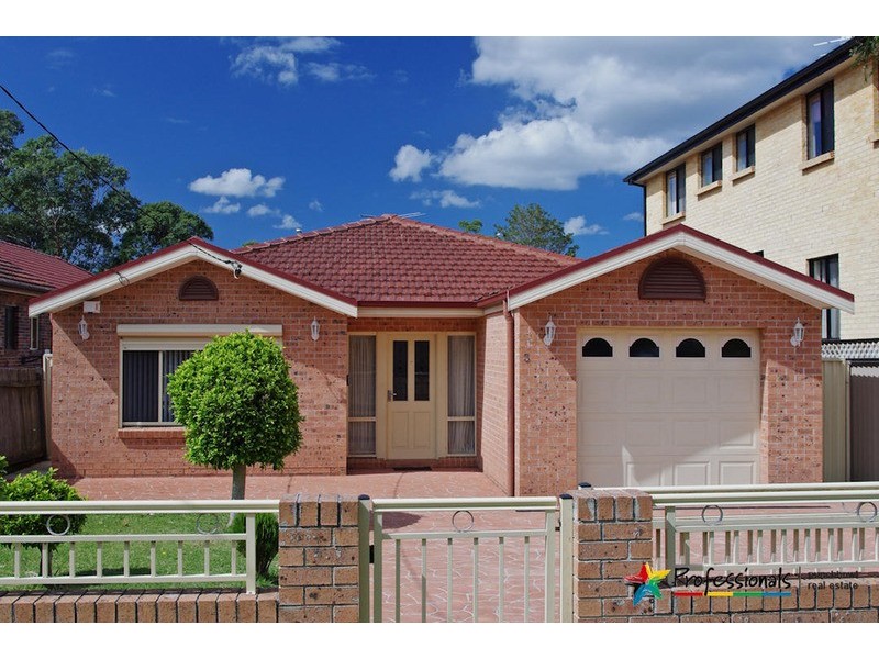 3 CRAIG Street, Punchbowl NSW 2196