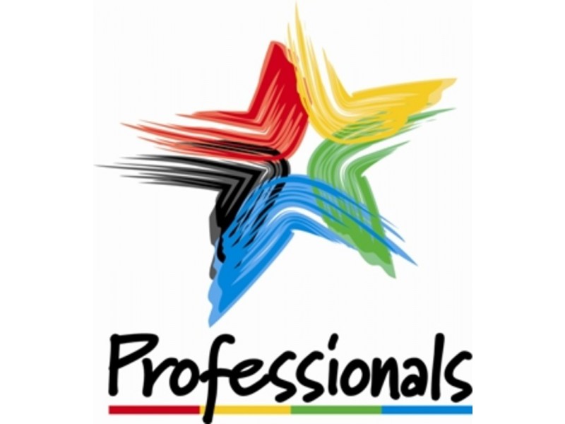 15 Defoe  Street, Punchbowl NSW 2196