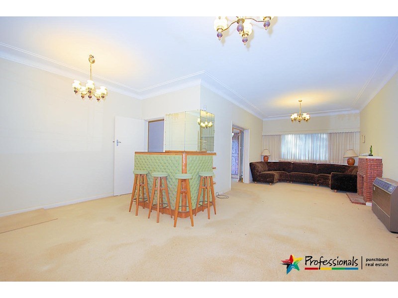 14 JULIETTE Avenue, Punchbowl NSW 2196