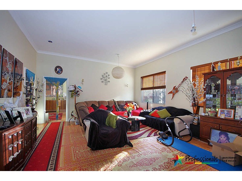 17 ARTHUR  Street, Punchbowl NSW 2196