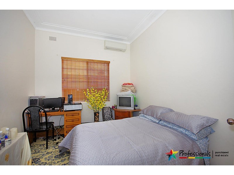 17 ARTHUR  Street, Punchbowl NSW 2196