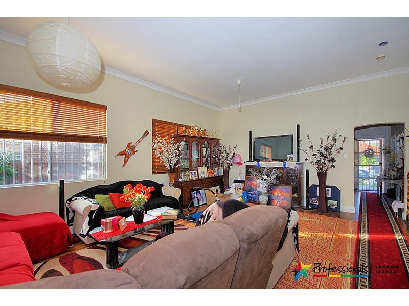 17 ARTHUR  Street, Punchbowl NSW 2196