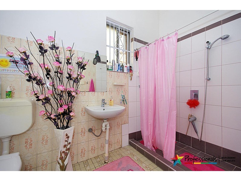 17 ARTHUR  Street, Punchbowl NSW 2196