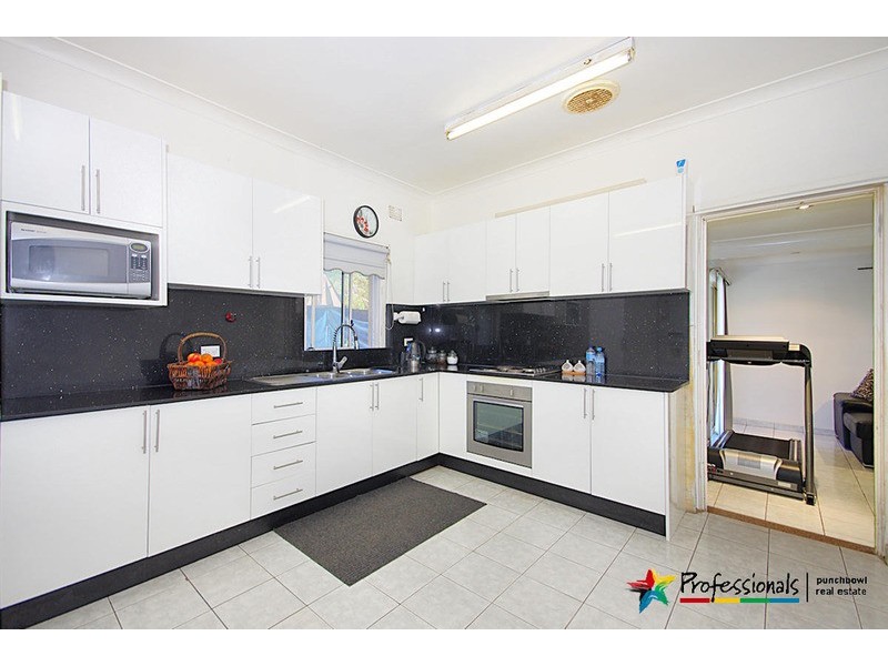 25 CRAIG  Street, Punchbowl NSW 2196