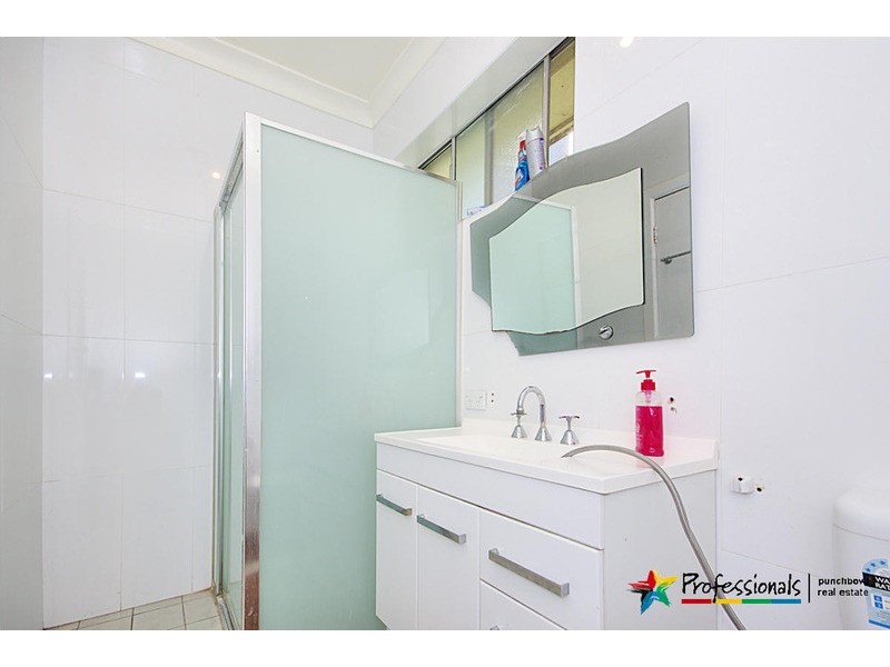 25 CRAIG  Street, Punchbowl NSW 2196