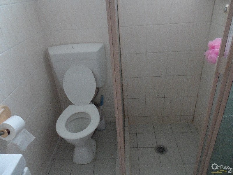 37 CORNELIA  Street, Wiley Park NSW 2195