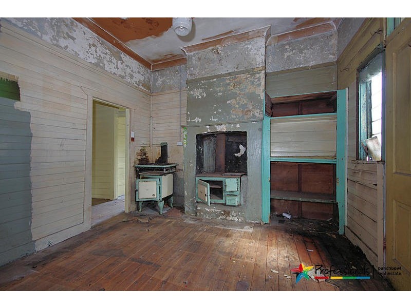 116 DUDLEY  Street, Punchbowl NSW 2196