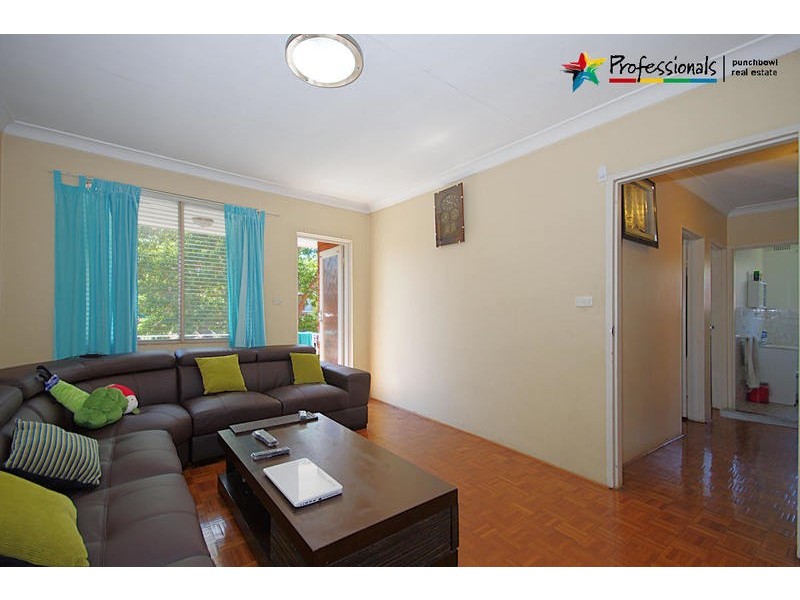 48 HILLARD Street, Wiley Park NSW 2195