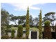 61 VIOLA Street, Punchbowl NSW 2196