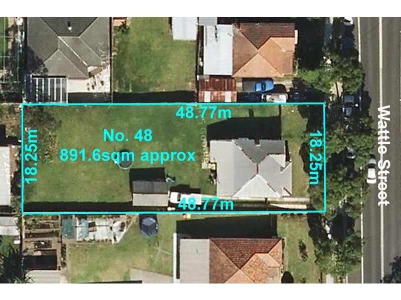 48 WATTLE Street, Punchbowl NSW 2196