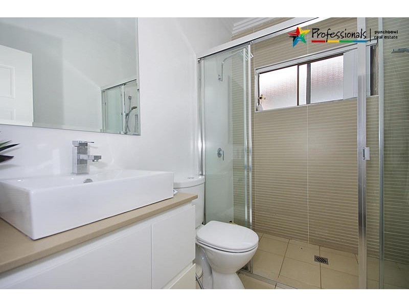 95 AUGUSTA Street, Punchbowl NSW 2196