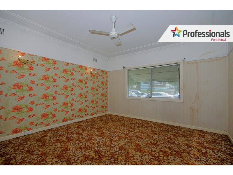 4 PARKLAND Avenue, Punchbowl NSW 2196