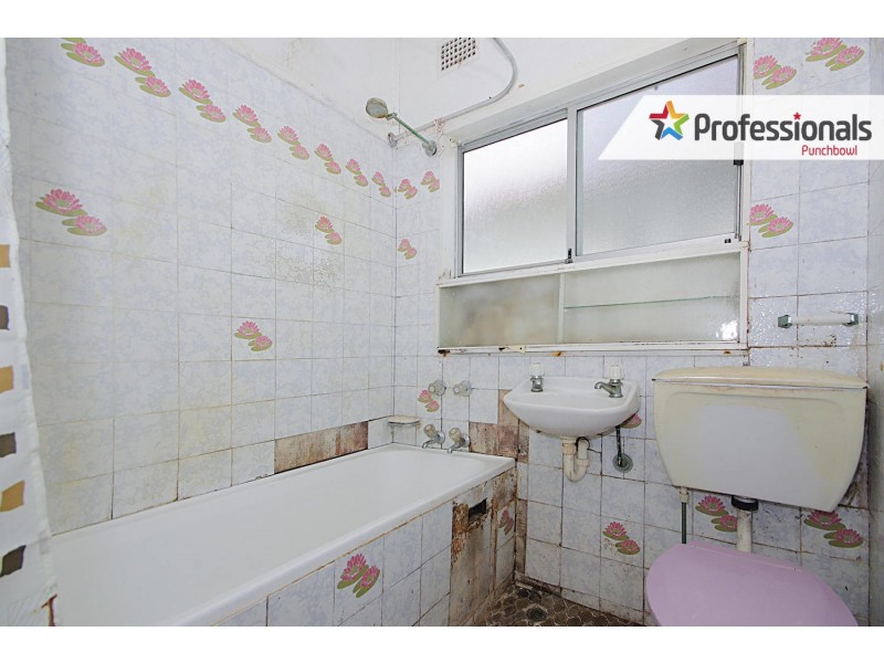 4 PARKLAND Avenue, Punchbowl NSW 2196