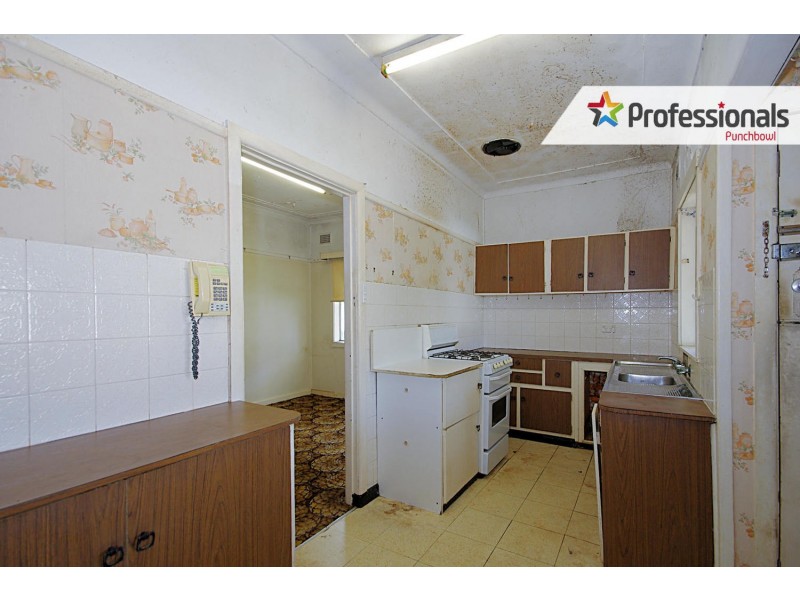 4 PARKLAND Avenue, Punchbowl NSW 2196