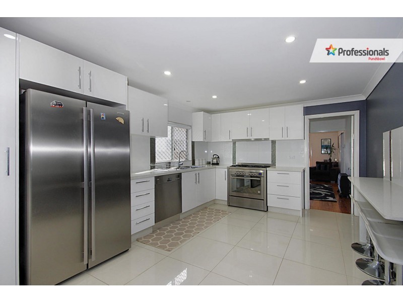 3 FAUX Street, Wiley Park NSW 2195