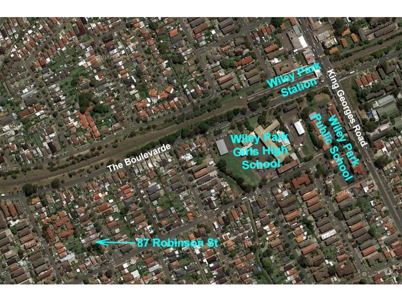 1 & 3/87 ROBINSON Street, Wiley Park NSW 2195