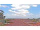 89 FENWICK Street, Bankstown NSW 2200