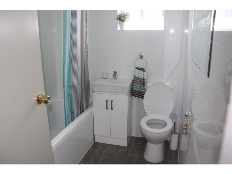 4 PARKLAND Avenue, Punchbowl NSW 2196