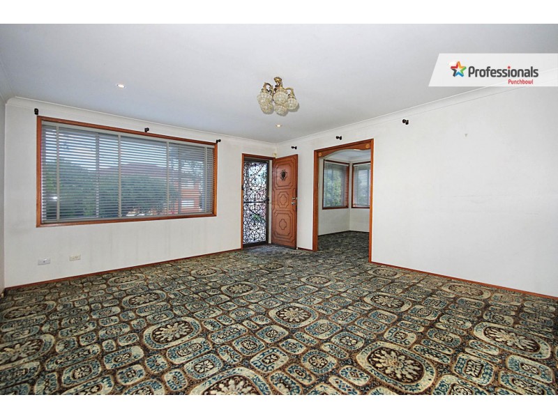 10 MATTHEWS Street, Punchbowl NSW 2196