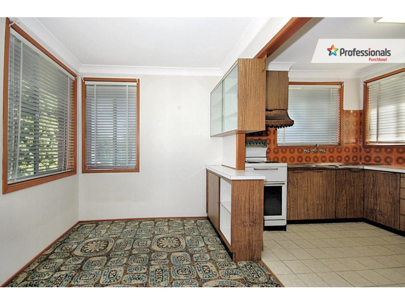 10 MATTHEWS Street, Punchbowl NSW 2196