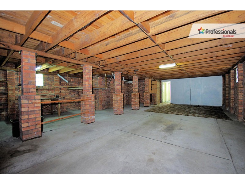 10 MATTHEWS Street, Punchbowl NSW 2196