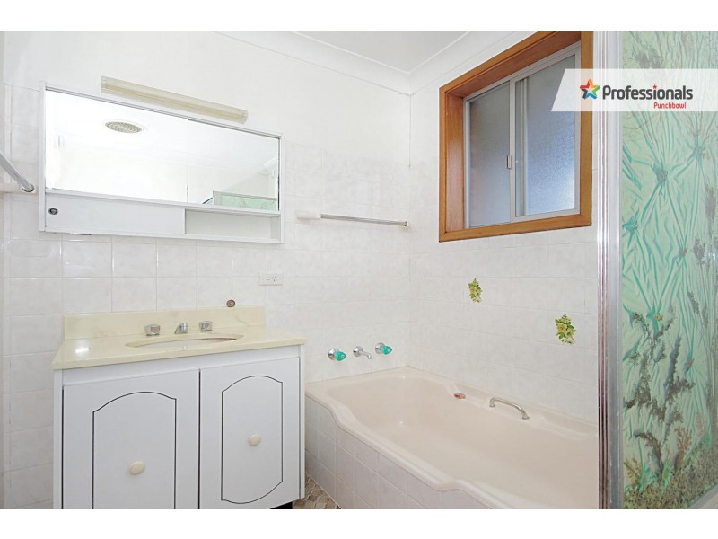 10 MATTHEWS Street, Punchbowl NSW 2196