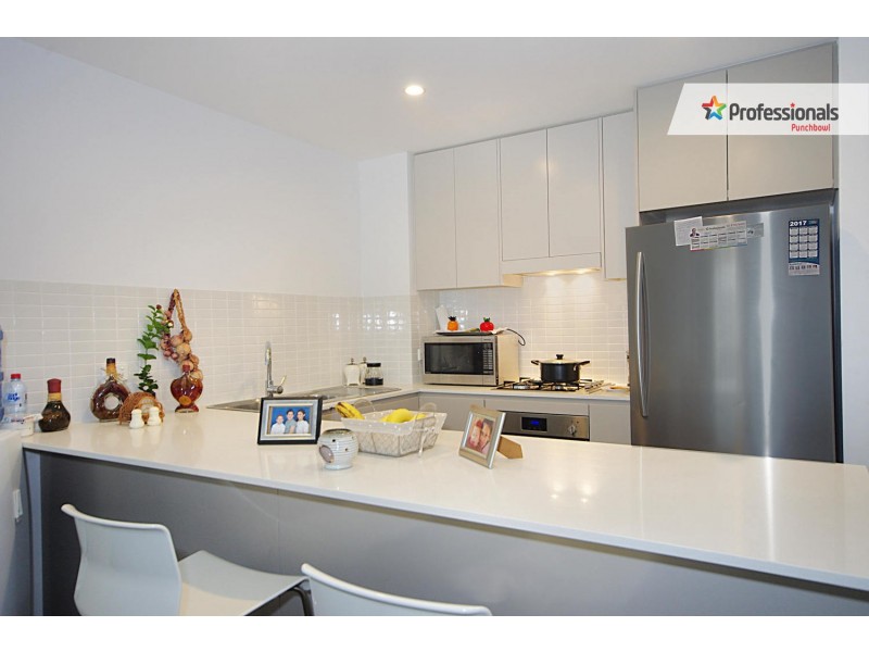 19/20 MATTHEWS Street, Punchbowl NSW 2196